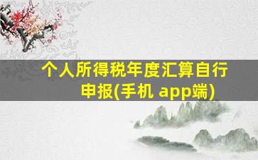 个人所得税年度汇算自行申报(手机 app端)